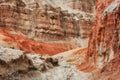 Canyon walls among ancient desert steppe fields, geological deposits of different times, clay, erosion.