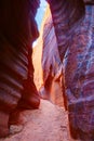 Canyon walls in Buckskin Gulch, near the Utah-Arizona border, southern Utah, United States Royalty Free Stock Photo