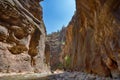 Canyon walls seen from the river bed in Zion National Park in Utah