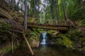 The Canyon of the Waterfalls, Smolyan, Bulgaria Royalty Free Stock Photo