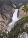 canyon waterfalls in Yellowstone Royalty Free Stock Photo