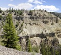 Canyon in Yellowstone