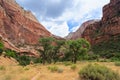 Canyon in Zion National Park in Utah Royalty Free Stock Photo