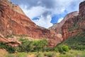 Canyon in Zion National Park in Utah Royalty Free Stock Photo
