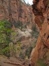 The Canyon, Zion National Park, Utah Royalty Free Stock Photo