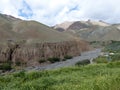 Canyons with corn field in the valley of Markah in Ladakh, India. Royalty Free Stock Photo