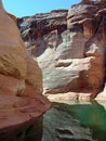 Canyons in Lake Powell of Lake Powell.