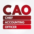CAO - Chief Accounting Officer acronym