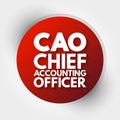 CAO - Chief Accounting Officer acronym, business concept background