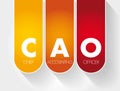 CAO - Chief Accounting Officer acronym concept