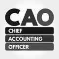 CAO - Chief Accounting Officer acronym concept