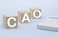 CAO - Chief Accounting Officer acronym on wooden cubes on a light background Royalty Free Stock Photo