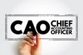 CAO Chief Accounting Officer - highest financial position in the business and manages things like budgets, forecasts, credit,