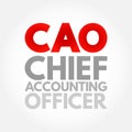 CAO Chief Accounting Officer - highest financial position in the business and manages things like budgets, forecasts, credit,