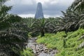 Cao Grande, Sao Tome, Africa Royalty Free Stock Photo