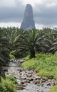 Cao Grande, Sao Tome, Africa Royalty Free Stock Photo