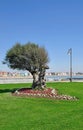 Caorle,adriatic sea,italy Royalty Free Stock Photo