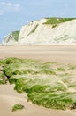 Cap Blanc Nez cliff