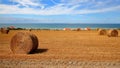 Cap Blanc Nez, Cote d`Opale, Pas-de-Calais, France: Fields with bales of Hay. View with the sea in the background