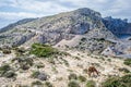 Cap de Formentor Royalty Free Stock Photo