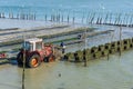 Cap Ferret, Arcachon Bay, France. Oyster farmers at work