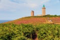 Cap FrÃÂ©hel fern landscape