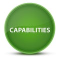 Capabilities luxurious glossy green round button abstract