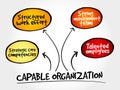 Capable organization, strategy mind map