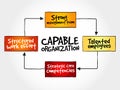 Capable organization, strategy mind map