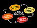 Capable organization, strategy mind map