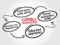 Capable organization, strategy mind map