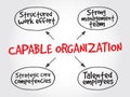 Capable organization, strategy mind map