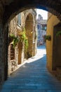 Capalbio is a small tower in maremma, tuscany, italy Royalty Free Stock Photo