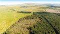 Capanagh Moss Bog Furr Forest woods in Ireland