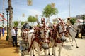 Caparisoned white horses of a horse-drawn carriage at the April Fair, Seville, Spain Royalty Free Stock Photo