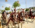 Caparisoned white horses of a horse-drawn carriage at the April Fair, Seville, Spain Royalty Free Stock Photo