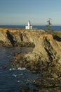 Cape Arago lighthouse 2