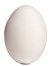 Cape Barren Goose egg, Cereopsis novaehollandiae
