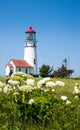 Cape Blanco Lighthouse with flowers Royalty Free Stock Photo