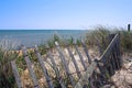 Cape Cod Beach Dune and Snow Fence Royalty Free Stock Photo