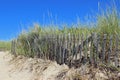 Cape Cod Dune Fence Royalty Free Stock Photo