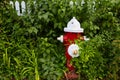 Cape Cod fire Hydrant Massachusetts US Royalty Free Stock Photo