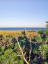 Cape Cod National Seashore Cliffs at Goldenhour