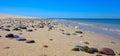 Cape Cod National Seashore at Truro, Massachusetts Royalty Free Stock Photo