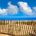Cape Cod Sandy Neck Beach Massachusetts US