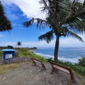 Cape Coffee, Taitung, overlooking the beautiful coastline of Taitung, Taiwan Royalty Free Stock Photo