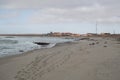 Cape Cross Seal Colony at the Beach near Swakopmund, Namibia Royalty Free Stock Photo