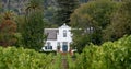 Cape Dutch style building at Groot Constantia, Cape Town, South Africa, with vineyard in foreground and mountains in background