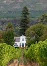 Cape Dutch style farm building at Groot Constantia, Cape Town, South Africa, with vineyard in the foreground and mountains behind Royalty Free Stock Photo