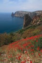 Cape Fiolent. Field of red poppies. Crimea.